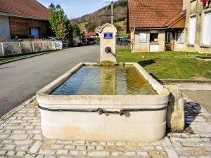 Fontana del municipio (© JE)