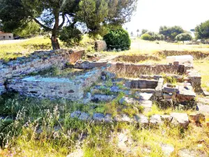 Olbia - El antiguo pozo público (© J.E.)