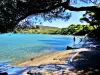 Panorama sur la plage de l'Alycastre (© J.E)