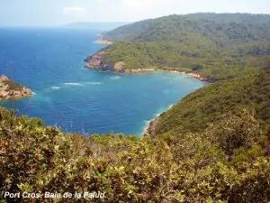 Port-Cros - Baie de la Palud (© J.E.)