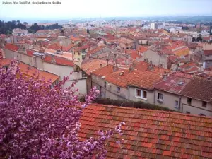 Hyères visto jardines Noailles (©) J.E.