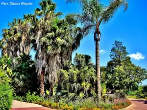 Olbius Riquier Park (© Jean Espirat)