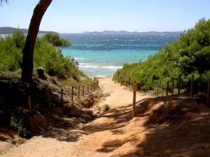 Playas de Porquerolles