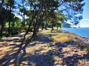 ruta costera entre Hyères y La Londe (© J.E.)