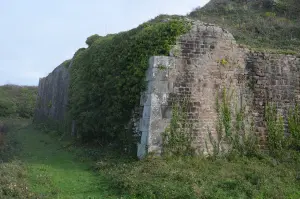 Vestigios del muro en otoño de 2020


