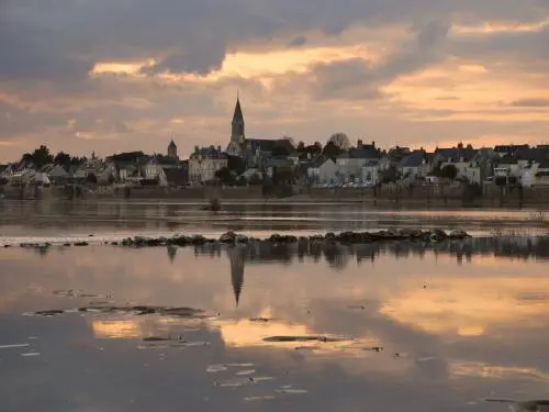 Ingrandes-Le Fresne sur Loire - Le Fresne-sur-Loire - Coucher de soleil sur la Loire