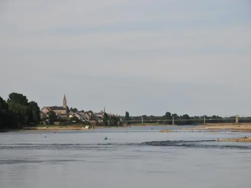 Ingrandes-Le Fresne sur Loire - Le Fresne-sur-Loire vu du chemin de halage