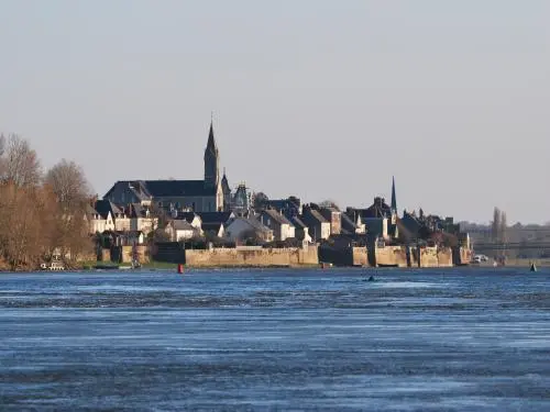 Ingrandes-Le Fresne sur Loire - Le Fresne-sur-Loire vu depuis Montrelais