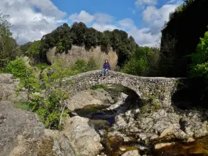 Coulée basaltique, pont romain