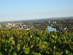 Joigny view from the viewpoint