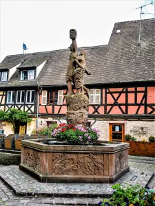 Kientzheim - Fontaine, place centrale (© J.E)