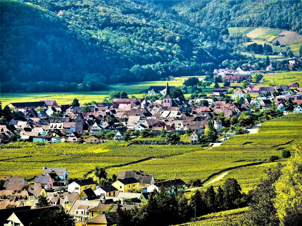 Kaysersberg Vignoble - Kientzheim - Village vu de la route de la nécropole de Sigolsheim (© J.E)