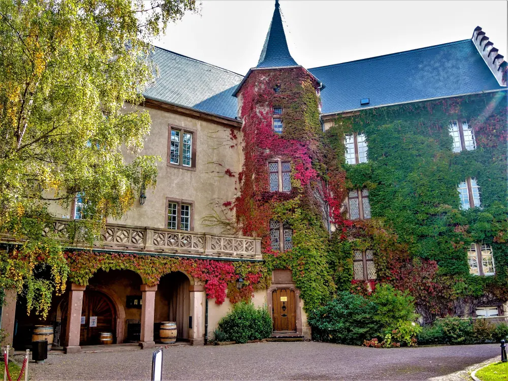 Kaysersberg Vignoble - Kientzheim - Le château, vu de la cour intérieure (© J.E)