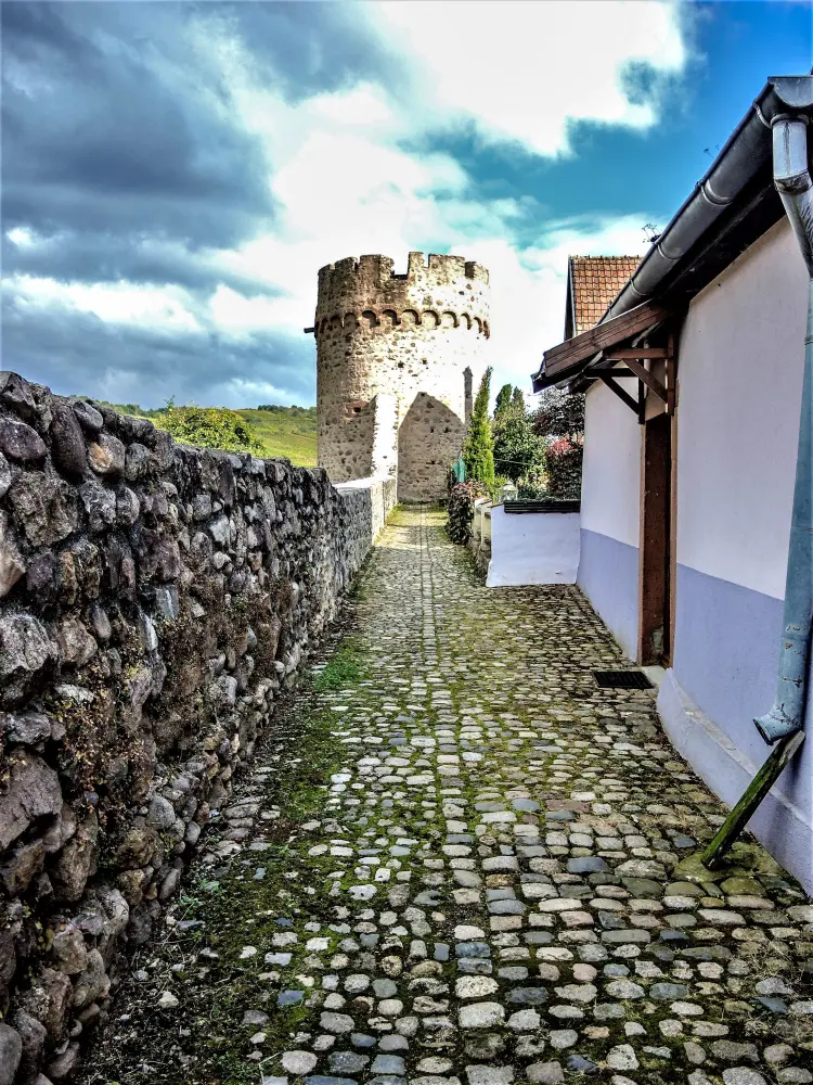 Kaysersberg Vignoble - Kientzheim - Chemin de ronde nord et tour des fripons (© J.E)