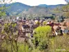 Kaysersberg - De stad, uitzicht vanaf het kasteel (© Jean Espirat)