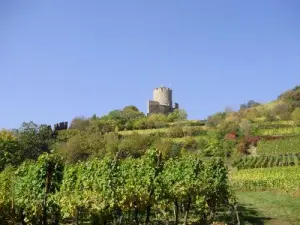 Château de Kaysersberg