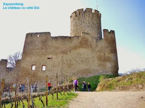 Kaysersberg Vignoble - Le château vu du côté Est (© Jean Espirat)