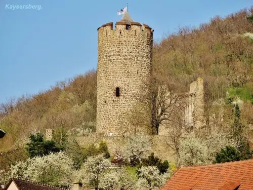 Kaysersberg Vignoble - Kaysersberg - Le château vu de la ville, côté Ouest (© Jean Espirat)