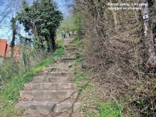 Kaysersberg Vignoble - Escalier Ouest d'accès au château (© Jean Espirat)