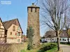 Kaysersberg Vignoble - Torre Kessler con nido di cicogne (© Jean Espirat)