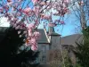 Kaysersberg Vignoble - Kientzheim - Castello della Confraternita