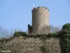 Der Bergfried von der Westseite aus gesehen (© JE)