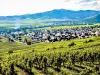 Kaysersberg Vignoble - Sigolsheim, vista dalla strada per la necropoli (© JE)