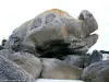 Turtle Rock (© JE)