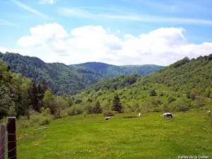 Vallée de la Doller vue du col de la Fennematt