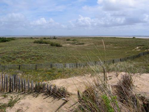 L'Aiguillon-sur-Mer - Pointe de l'Aiguillon, las dunas