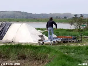 El Saulnier y sal cosecha