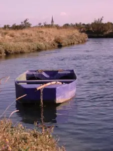 Boat Marsh