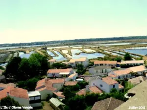 Blick auf den Sumpf vom Turm der L'Île-d'Olonne