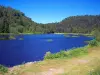 湖のLispach - 自然遺産のLa Bresse