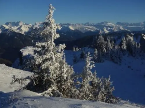 Punta de Ireuse - Paraje natural en La Baume