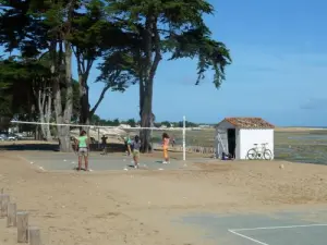 Club de Voleibol