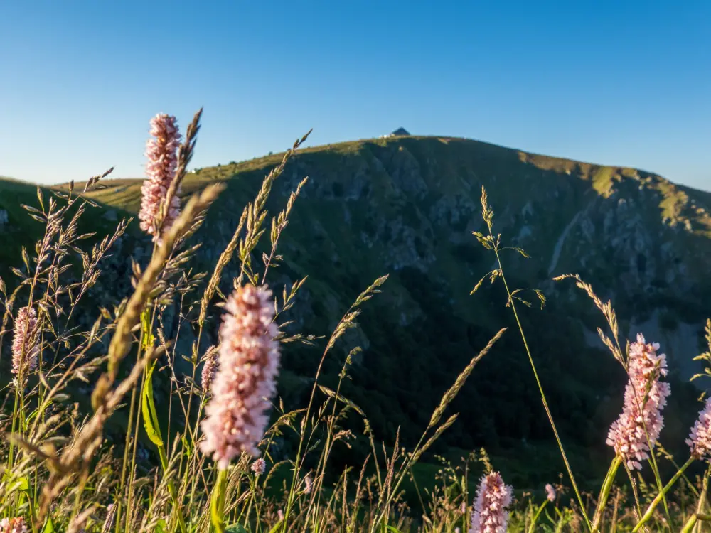 La Bresse - Hohneck-Gipfel (© Bervard OTC)