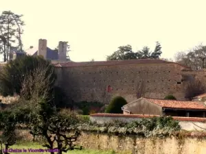Castle La Chaize-le-Vicomte elften