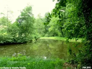 Paseo en el valle verde