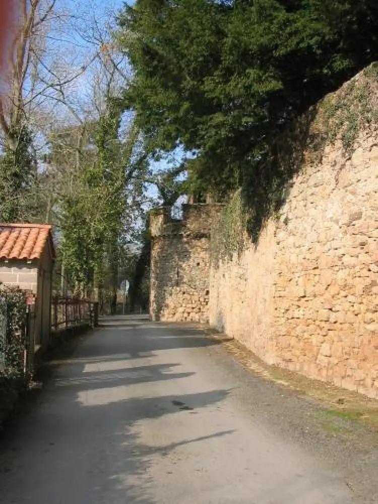 La Chaize-le-Vicomte - Remparts dits des Vieilles Prisons