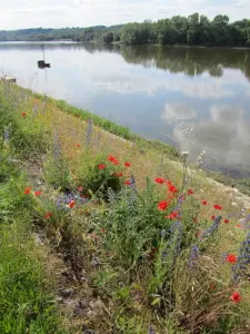 Un barco en el Loire en la La Chapelle-aux-Naux común