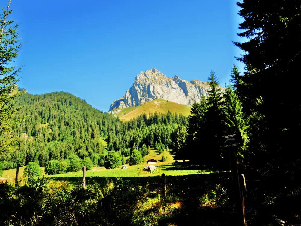 La Chapelle-d'Abondance - Les Cornettes de Bise, vues côté Sud (© Jean Espirat)