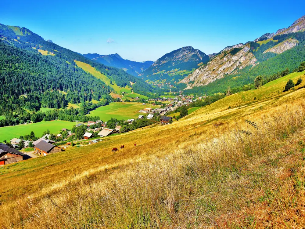 La Chapelle-d'Abondance - Panorama sur la vallée de La Chapelle-d'Abondance, depuis la route du lac d'Arvouin (© Jean Espirat)