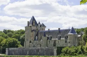 Château de La Chapelle-d'Angillon