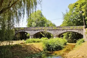 Bridge on the Cole