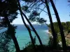 Spiaggia del Liouquet - Luogo di svago a La Ciotat