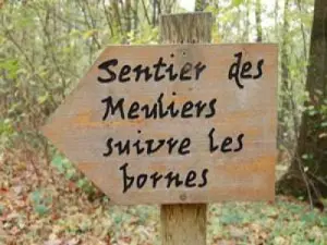Sensitive Natural Area Bois de la Barre