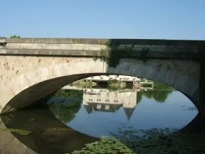 Reflection on the Loir