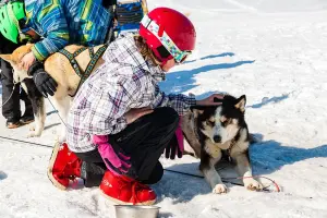 Con perros de tiro (© Olivier Humeau)