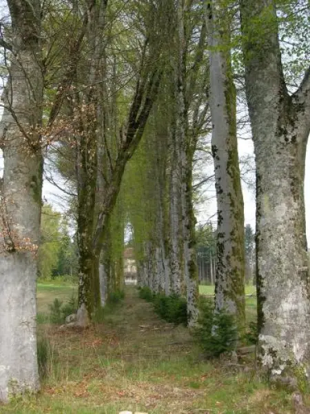 La Pouge - Guía turismo, vacaciones y fines de semana en Creuse